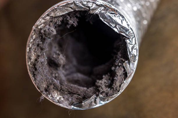 Best Air Vent Cleaning Services  in Mountainhome, PA